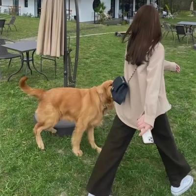 王牌大姐大
