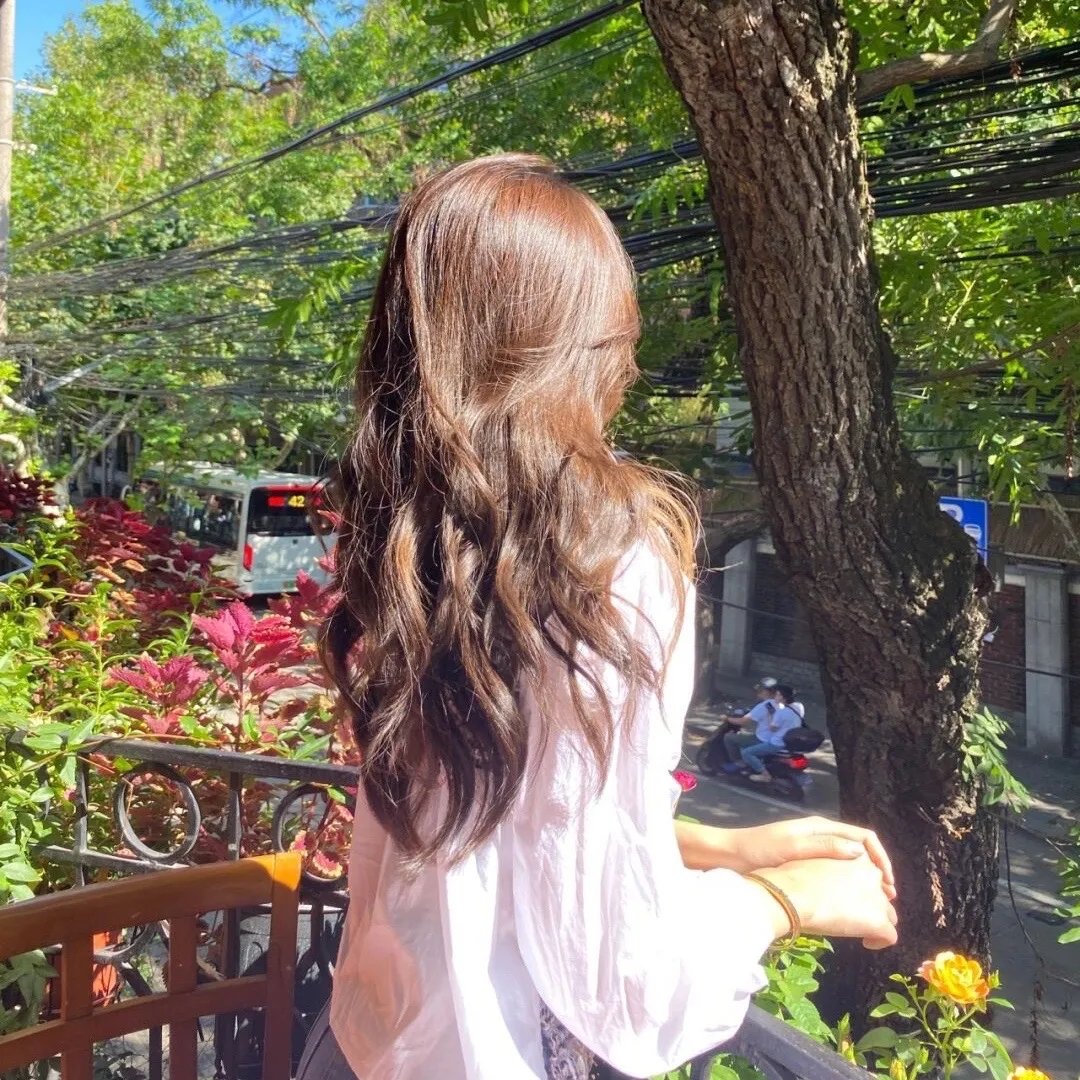 纸房子：全球热潮